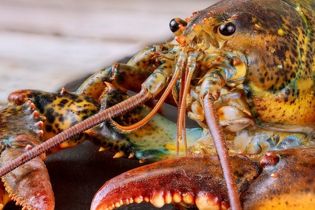 10 Cool Things You Didn'T Know About The Lobster