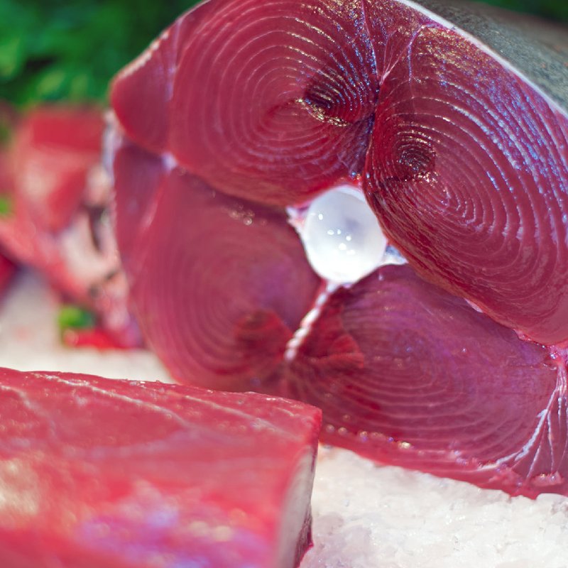 10 Cool Things You Didn'T Know About The Tuna