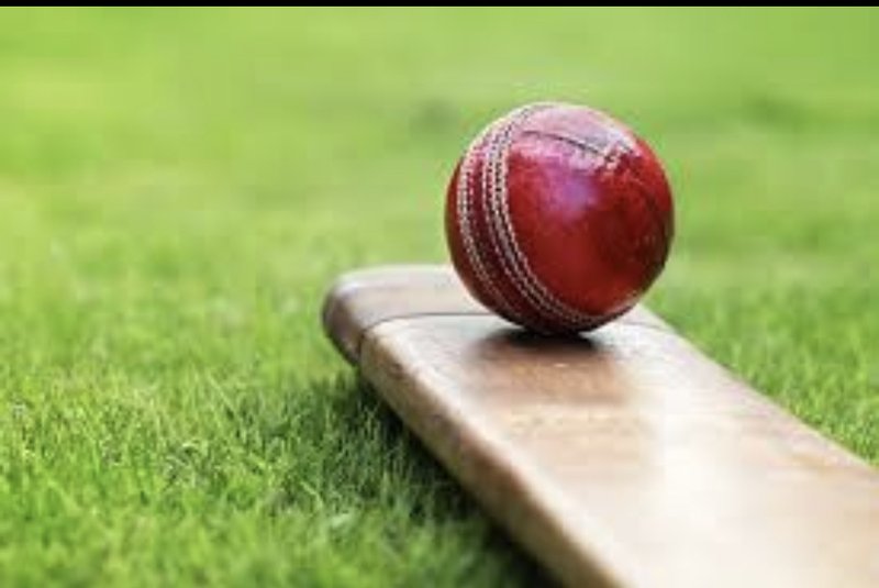 10 Things You Didn'T Know About The Cricket