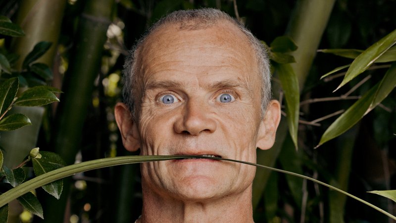 10 Things You Didn'T Know About The Flea