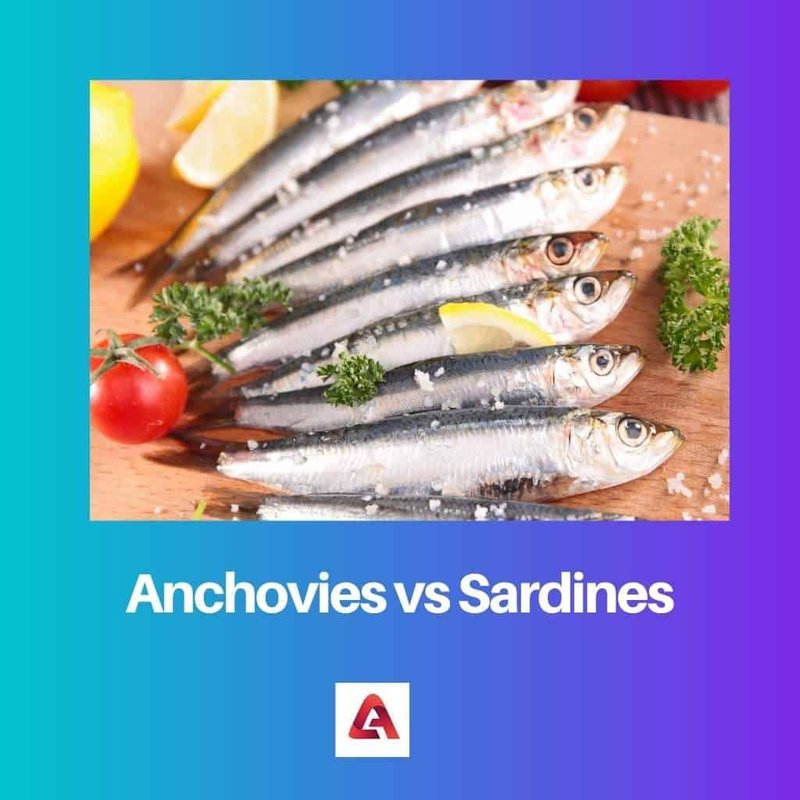 Anchovy Vs. [Similar Species] - Key Differences