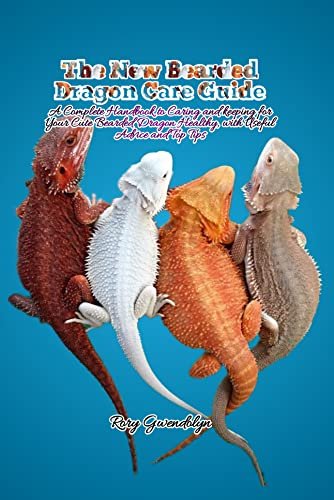 Bearded Dragon Care Guide For First-Time Owners