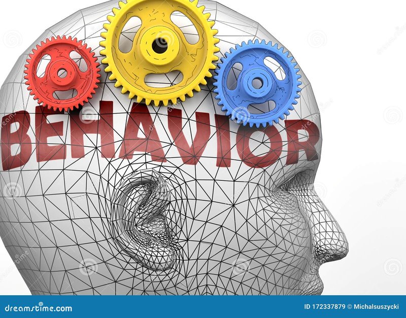 Behavior Of The Barbs: What It Means And What To Watch For
