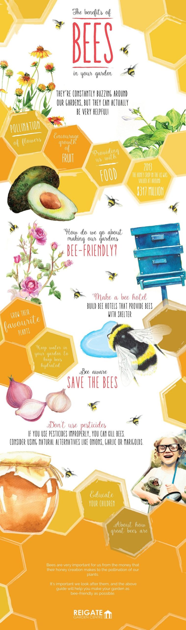 Benefits Of The Honey Bee For Gardeners And Farmers