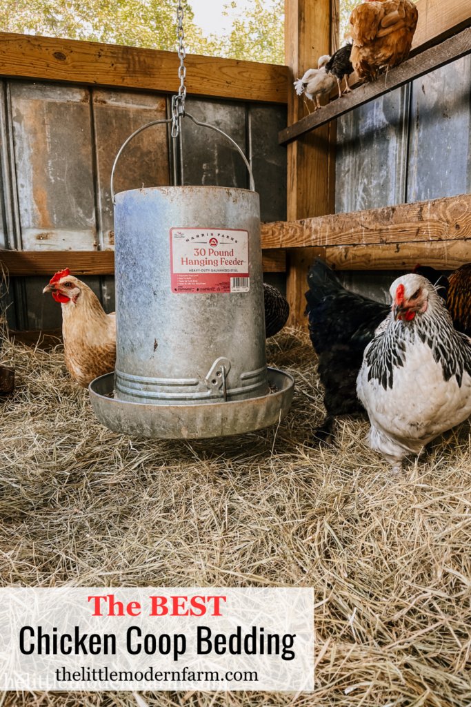 Best Bedding Materials For Chicken Coops