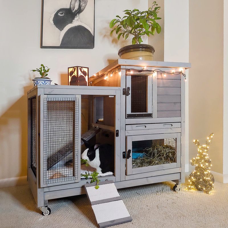 Best Cage And Hutch Setup For Indoor And Outdoor Rabbits
