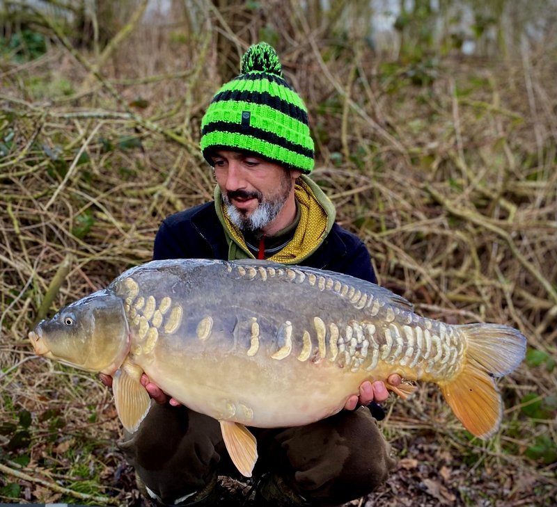 Best Practices For Winterizing A Carp Pond