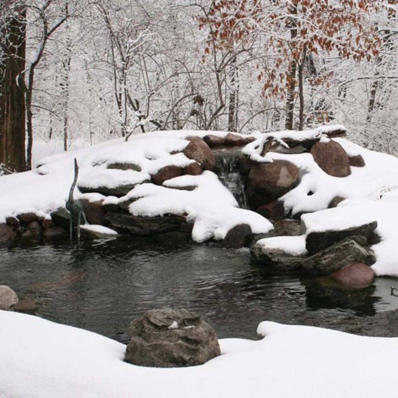 Best Practices For Winterizing A Catfish Pond