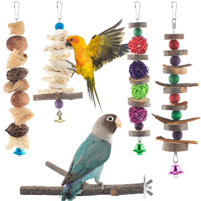 Best Toys And Enrichment Ideas For Conures