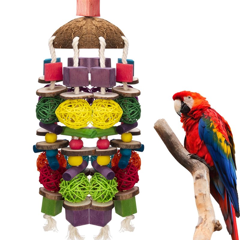 Best Toys And Enrichment Ideas For Macaws