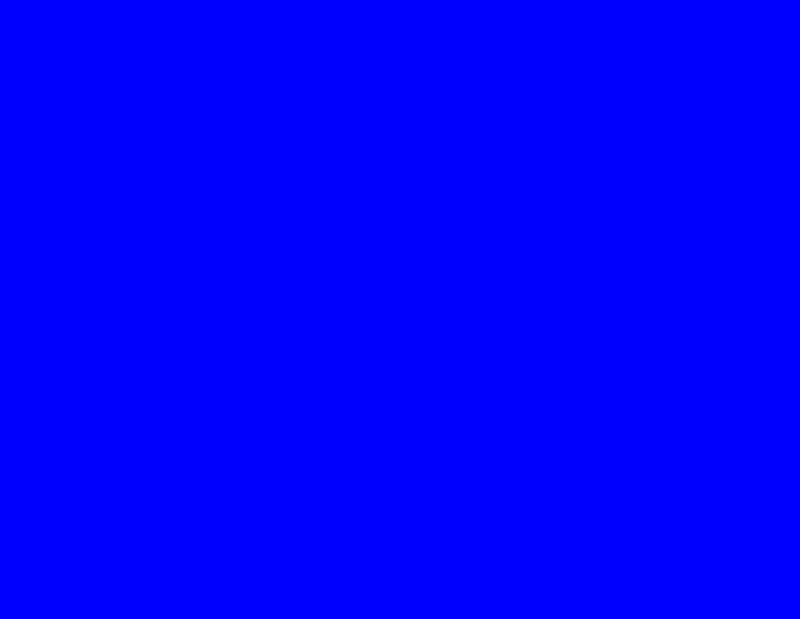 Blue Wildebeest