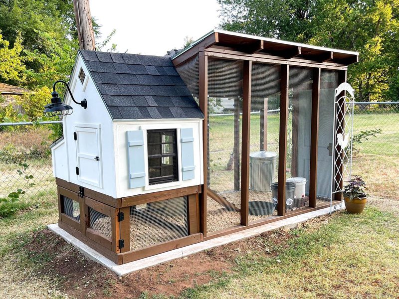 Building A Chicken Coop: Size, Materials, And Safety Tips
