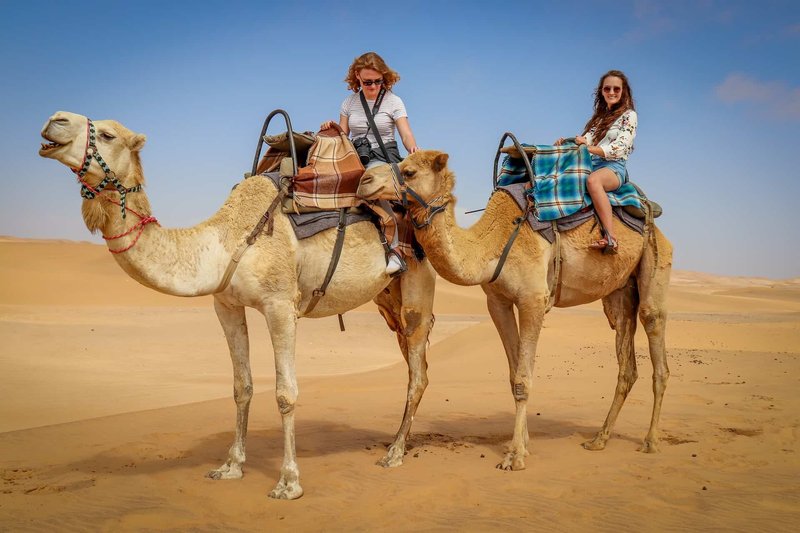 Camel Riding: Training, Equipment, And Safety Tips