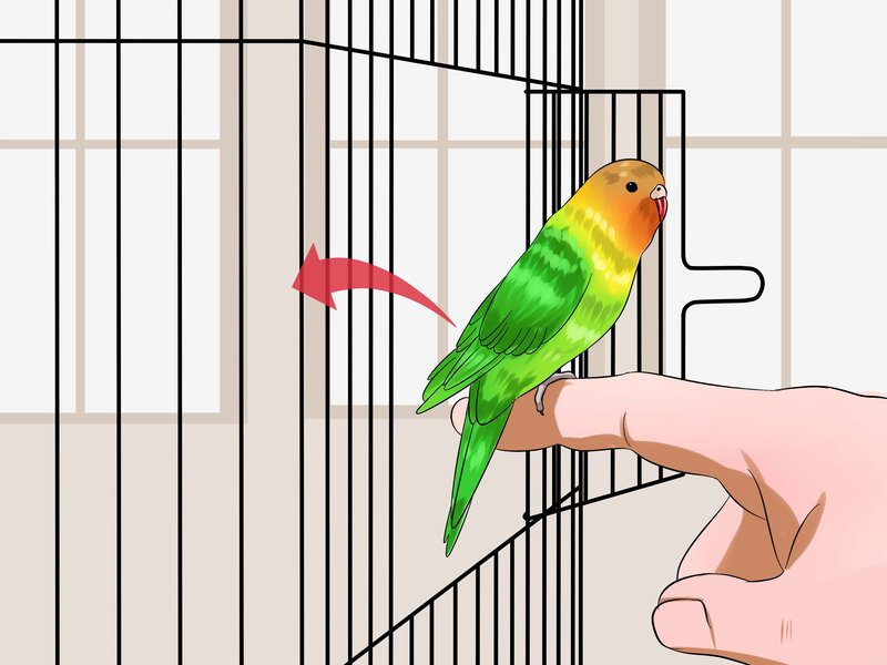 Can Finches Be Tamed? Tips For Gentle Handling