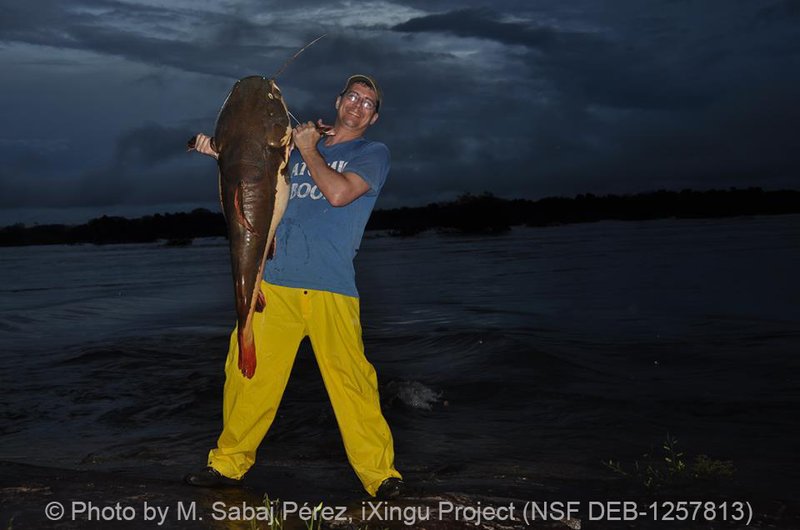 Catfish