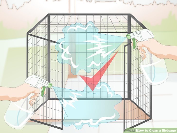 Cleaning And Maintaining A Finch Cage: Best Practices