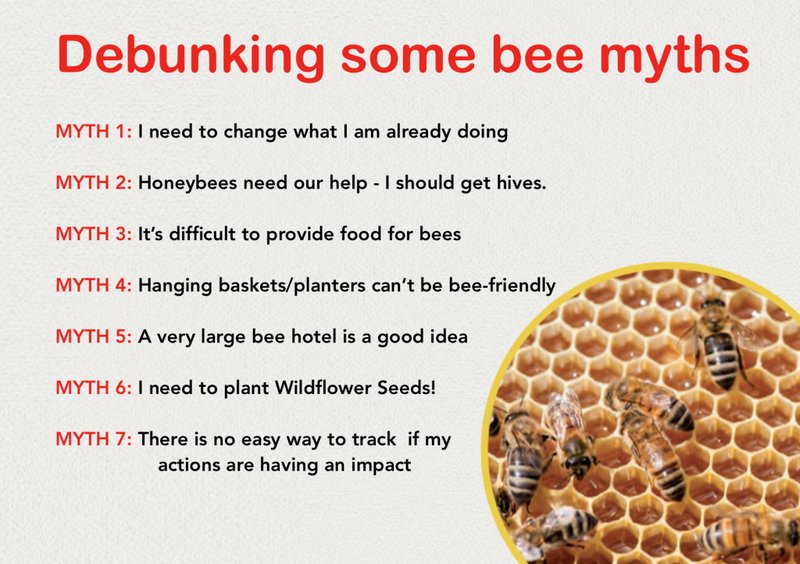 Common Myths About The Bee