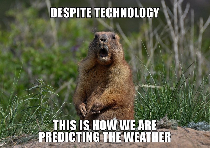 Common Myths And Misconceptions About The Groundhog