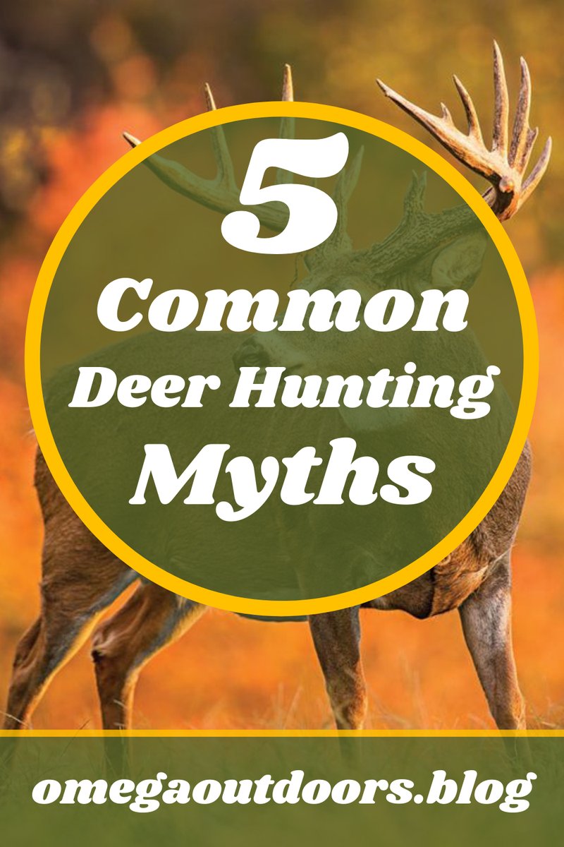 Common Myths And Misconceptions About The Red Deer