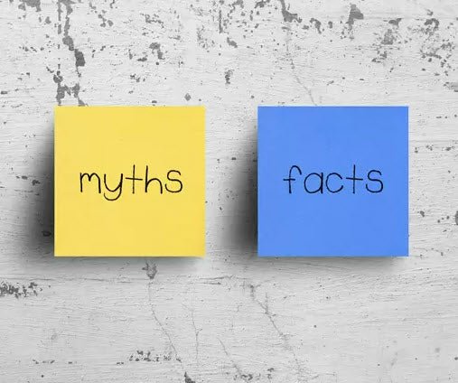 Common Myths And Misconceptions About The Tortoise