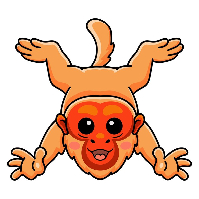 Common Myths And Misconceptions About The Uakari