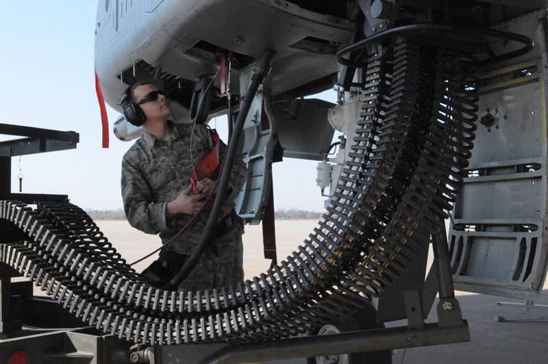 Common Myths And Misconceptions About The Warthog