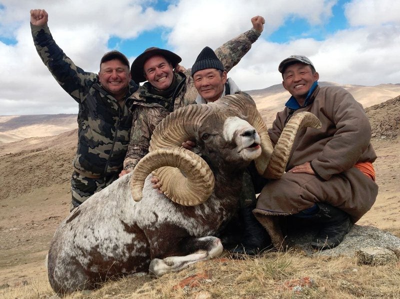 Comparing The Argali Vs. [Similar Species]
