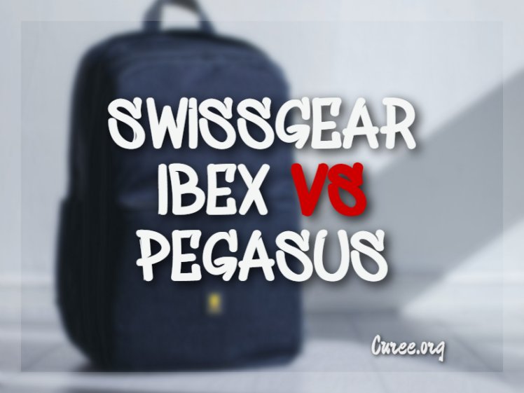 Comparing The Ibex Vs. [Similar Species]