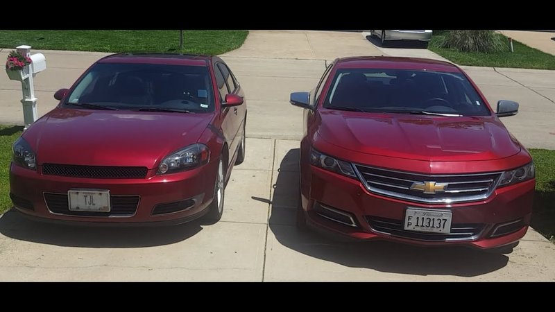 Comparing The Impala Vs. [Similar Species]