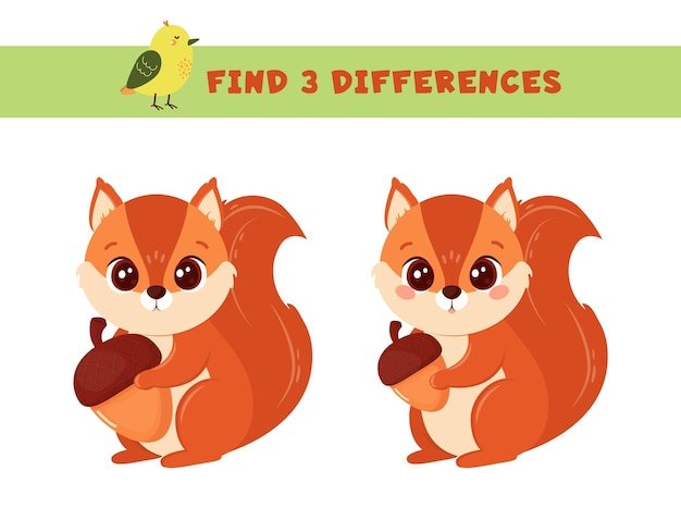 Comparing The Squirrel Vs. [Similar Species]