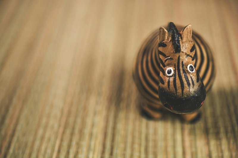 Comparing The Zebra Vs. [Similar Species]