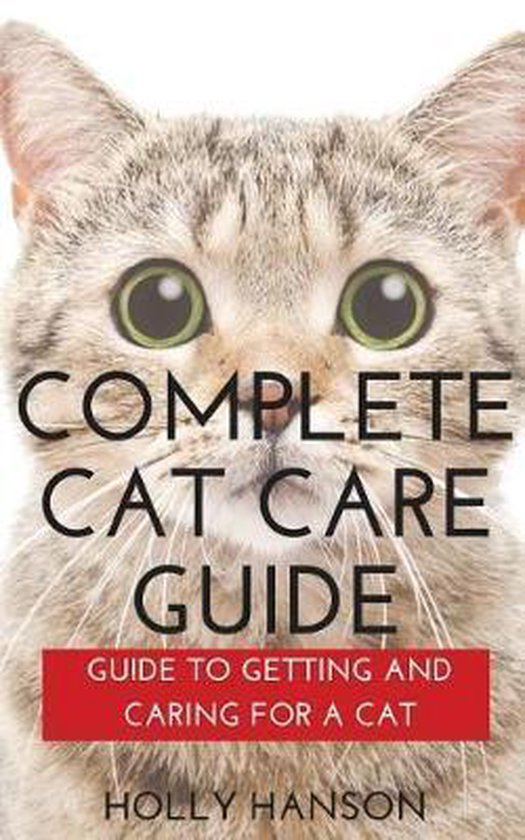 Complete Cat Care Guide: Feeding, Litter, Grooming, And Play