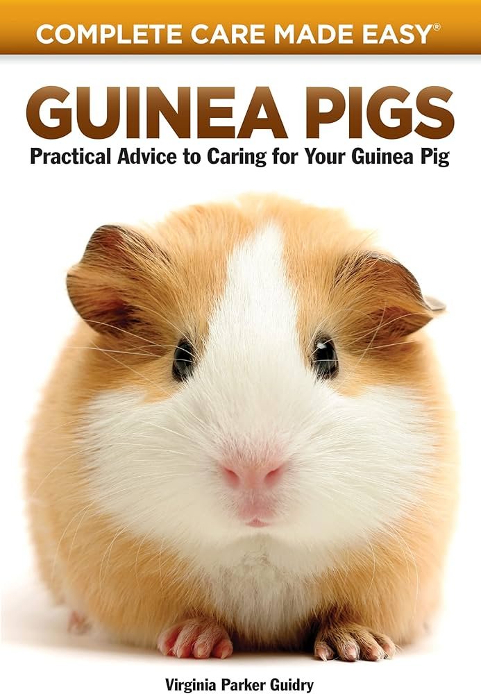 Complete Guinea Pig Care Guide: Housing, Feeding, And Handling