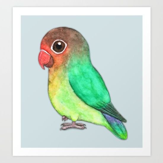 Daily Routine For A Happy, Healthy Lovebird