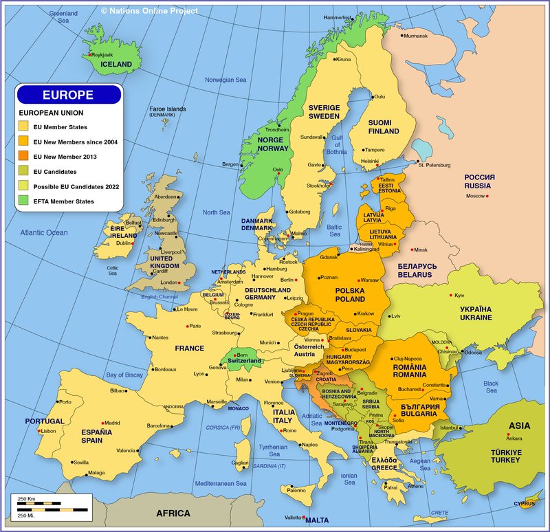 European Eel