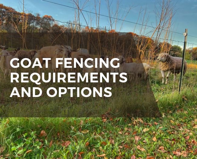 Housing And Fencing Requirements For Boer Goats