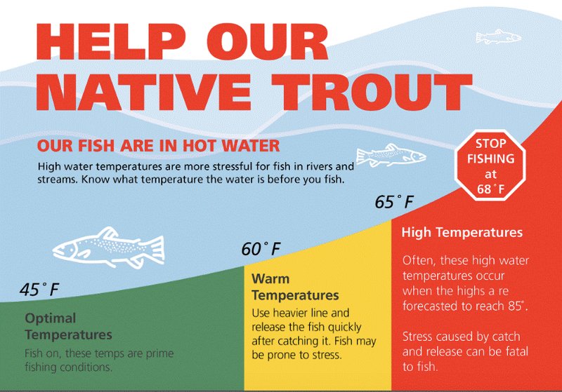How Climate Change Is Affecting The Trout