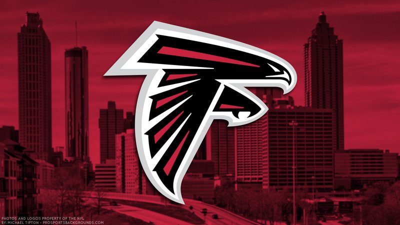 How Falcons Raise Their Young In The Wild