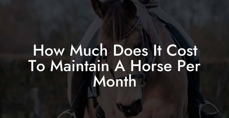 How Much Does It Cost To Own And Maintain A Horse?