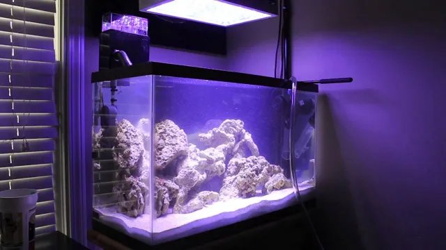 How Often Should You Do Water Changes In A Saltwater Aquarium?