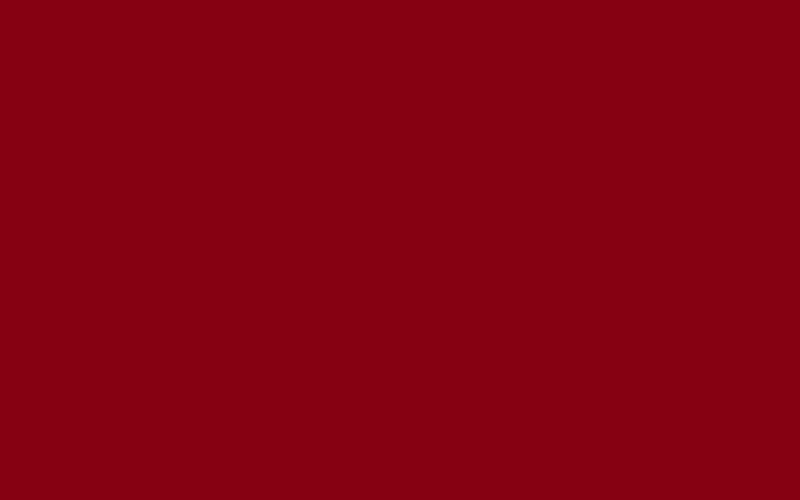 How Red Deers Survive In Harsh Environments
