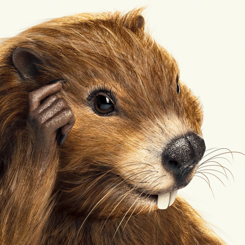 How Smart Is A Beaver? Cognitive Abilities And Behavior