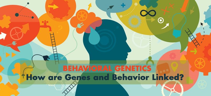 How Smart Is A Genet? Cognitive Abilities And Behavior