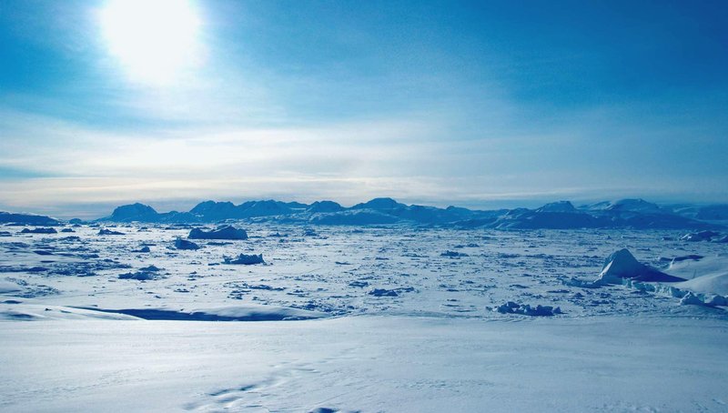 How The Arctic Fox Is Represented In Culture And Folklore