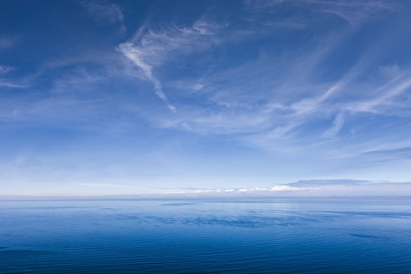 How The Blue Whale Navigates And Communicates