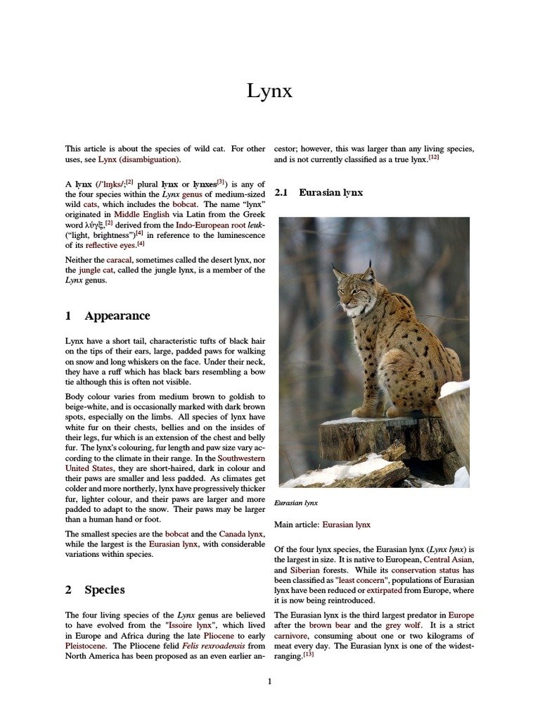 How The Eurasian Lynx Is Represented In Culture And Folklore
