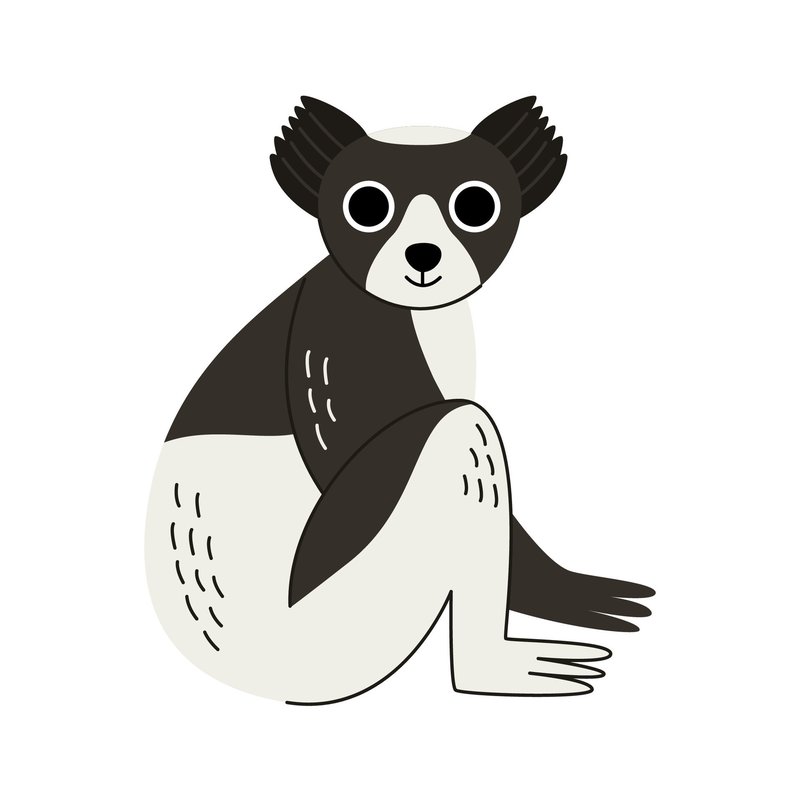How The Indri Is Represented In Culture And Folklore