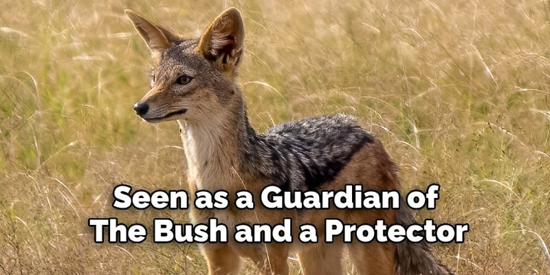 How The Jackal Is Represented In Culture And Folklore