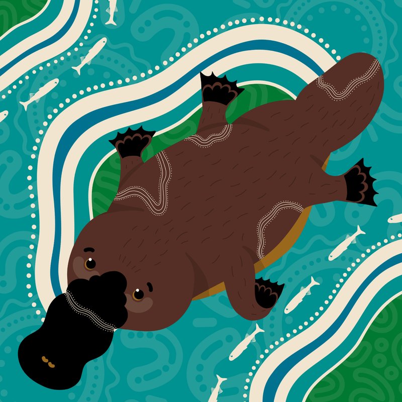 How The Platypus Is Represented In Culture And Folklore