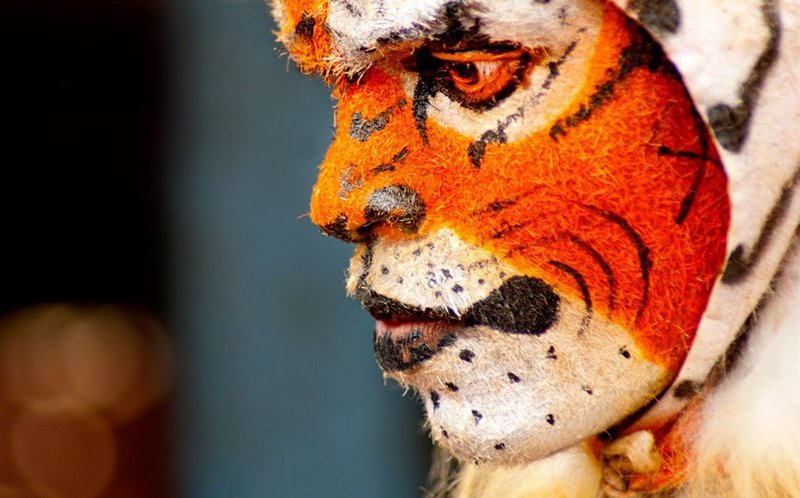 How The Tiger Is Represented In Culture And Folklore